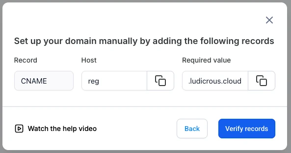 Manual setup screen showing the CNAME record, host and required value